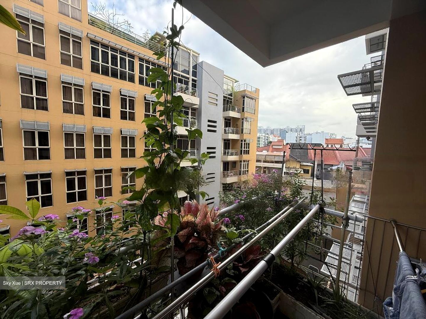 Sims Green (D14), Apartment #467699301